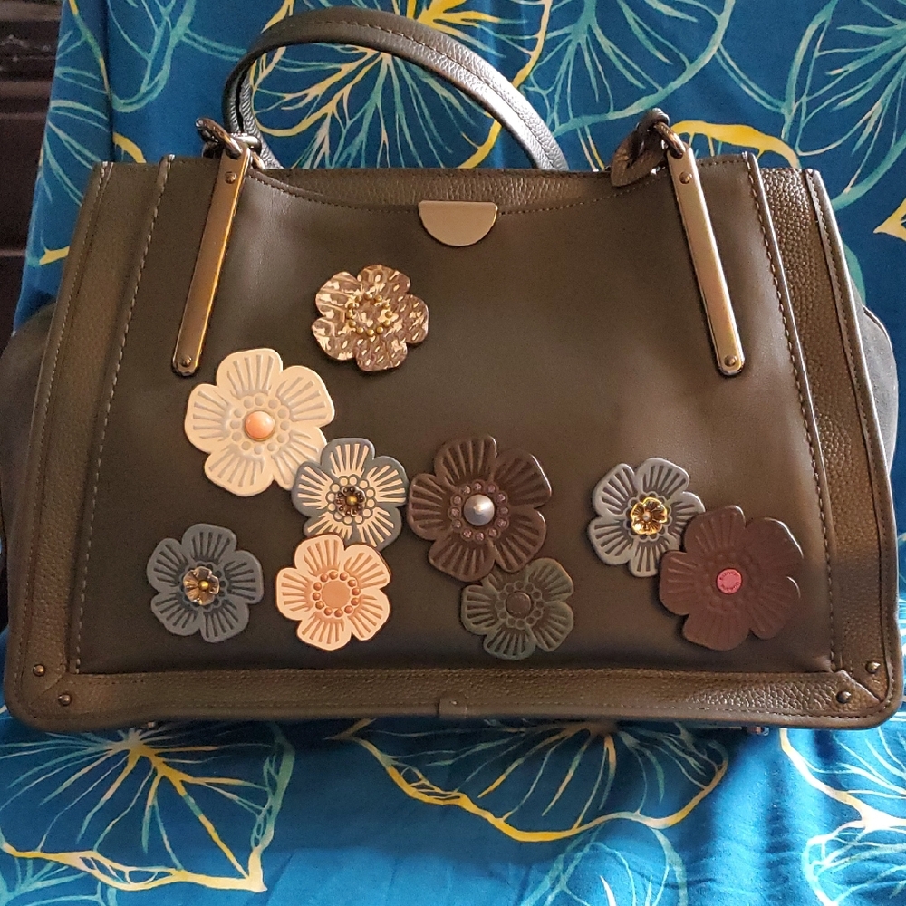 Coach Dreamer 36 Customized